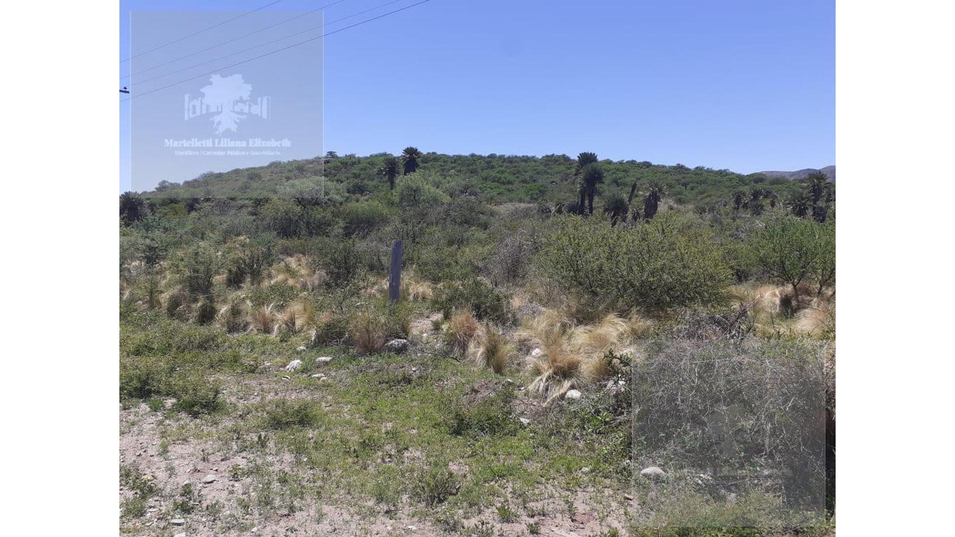 San Francisco Del Monte De Oro