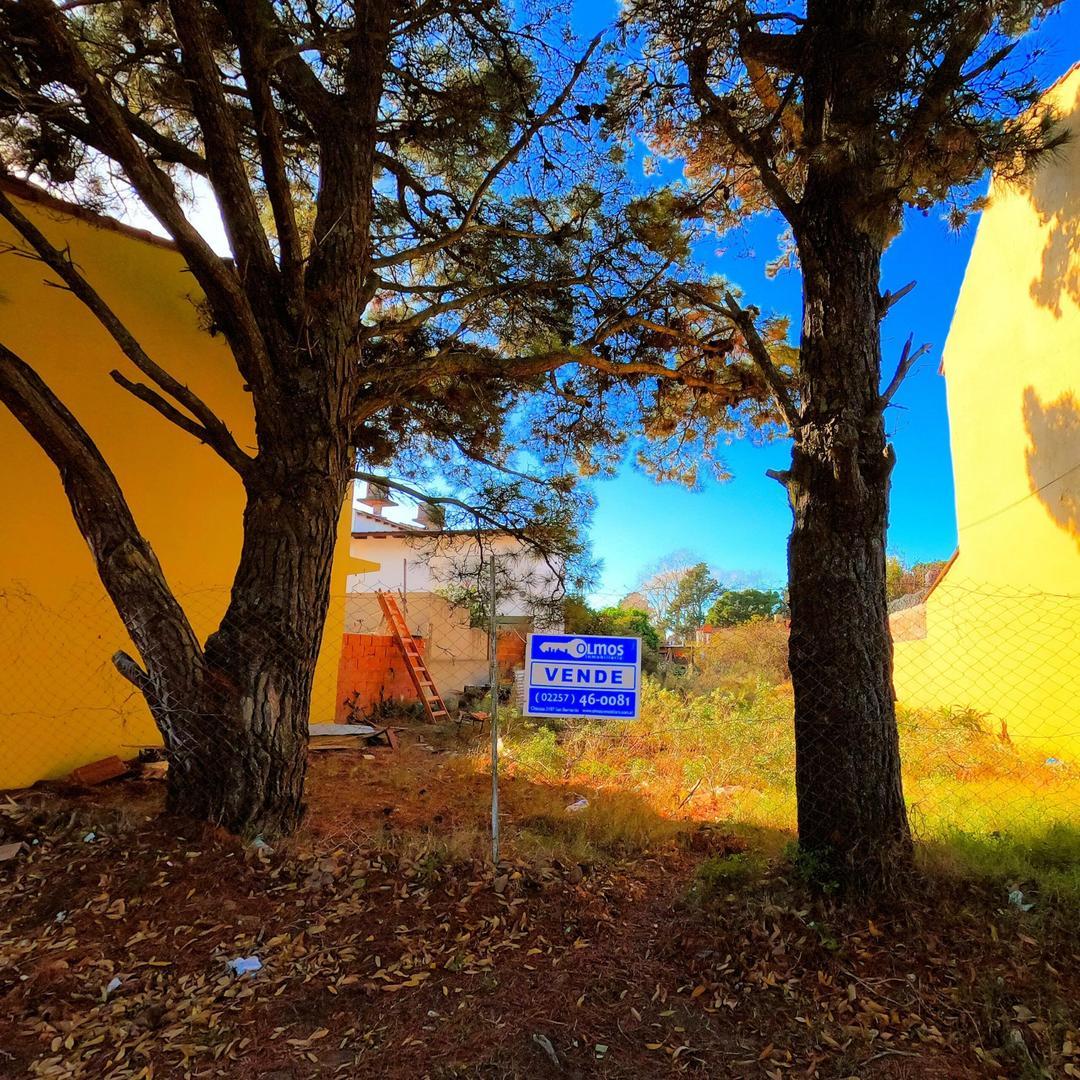 Terreno en Venta de 300,0 m2