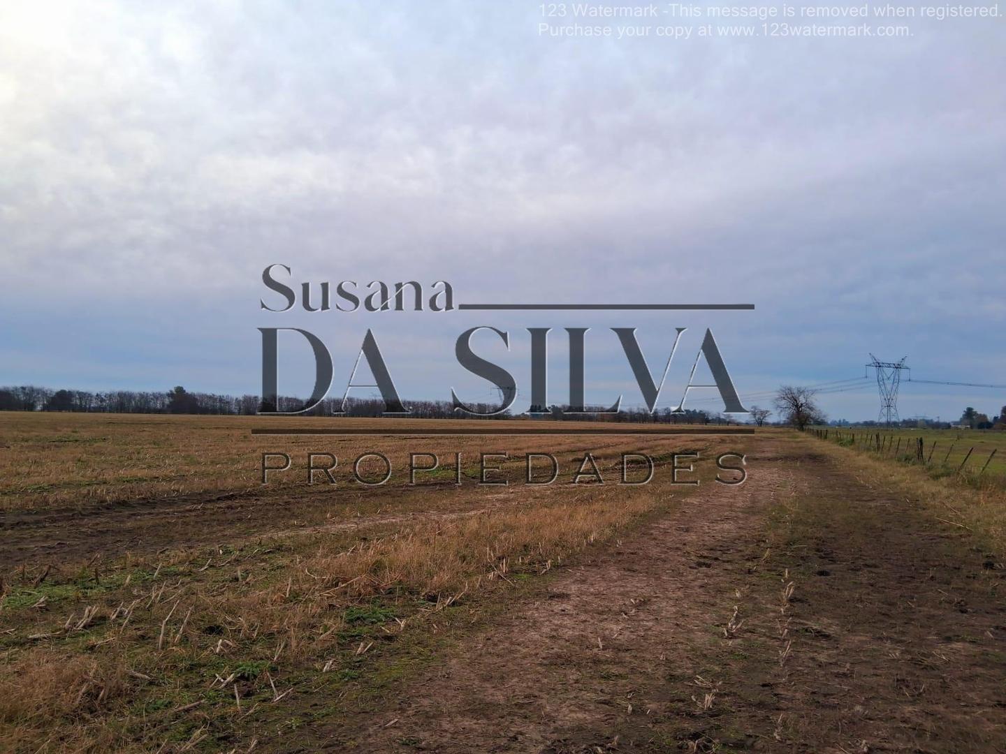 80 Ha. CAMPO AGRO-GANADERO. MARCOS PAZ