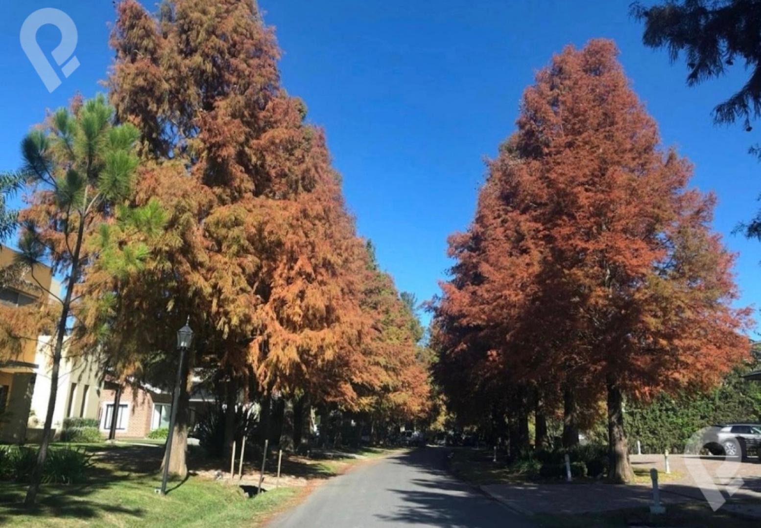 Terreno - El Lauquen