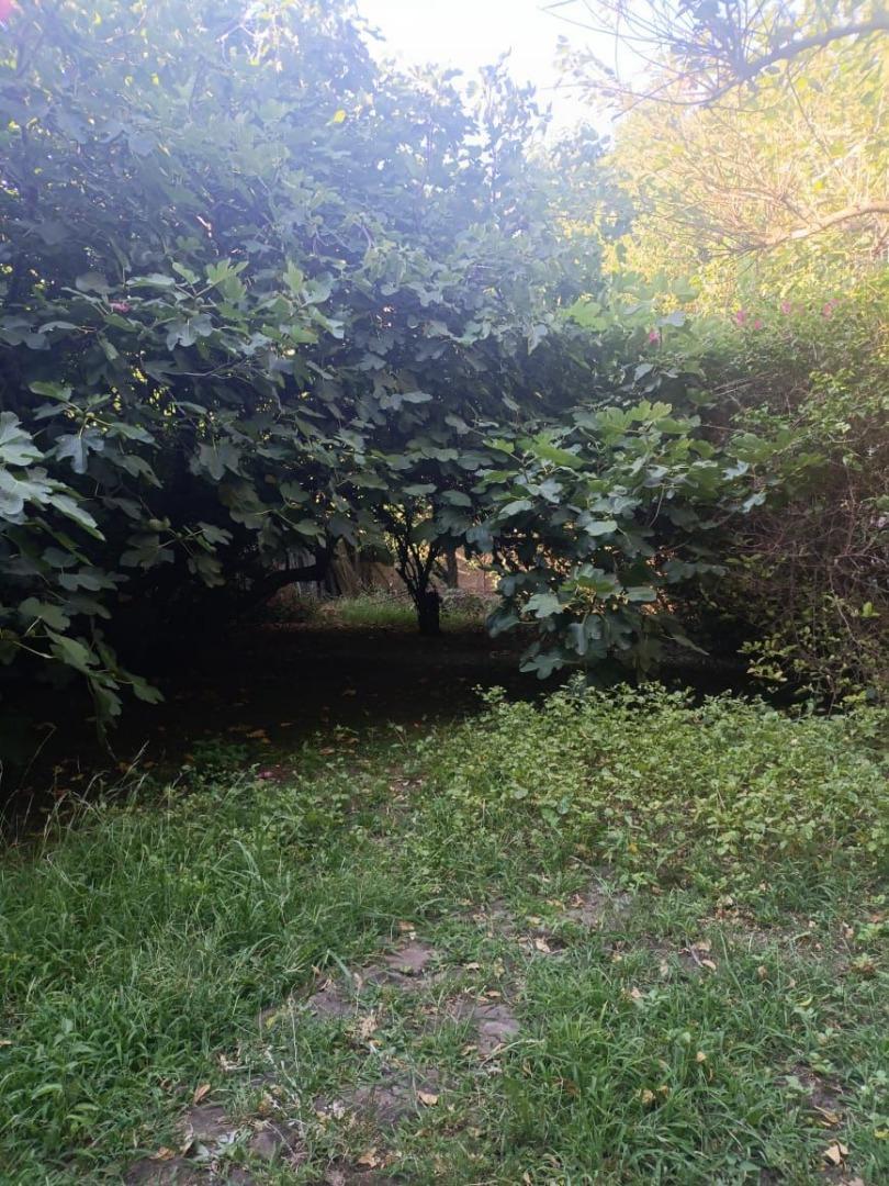 Casa 2 ambientes con 1 baño