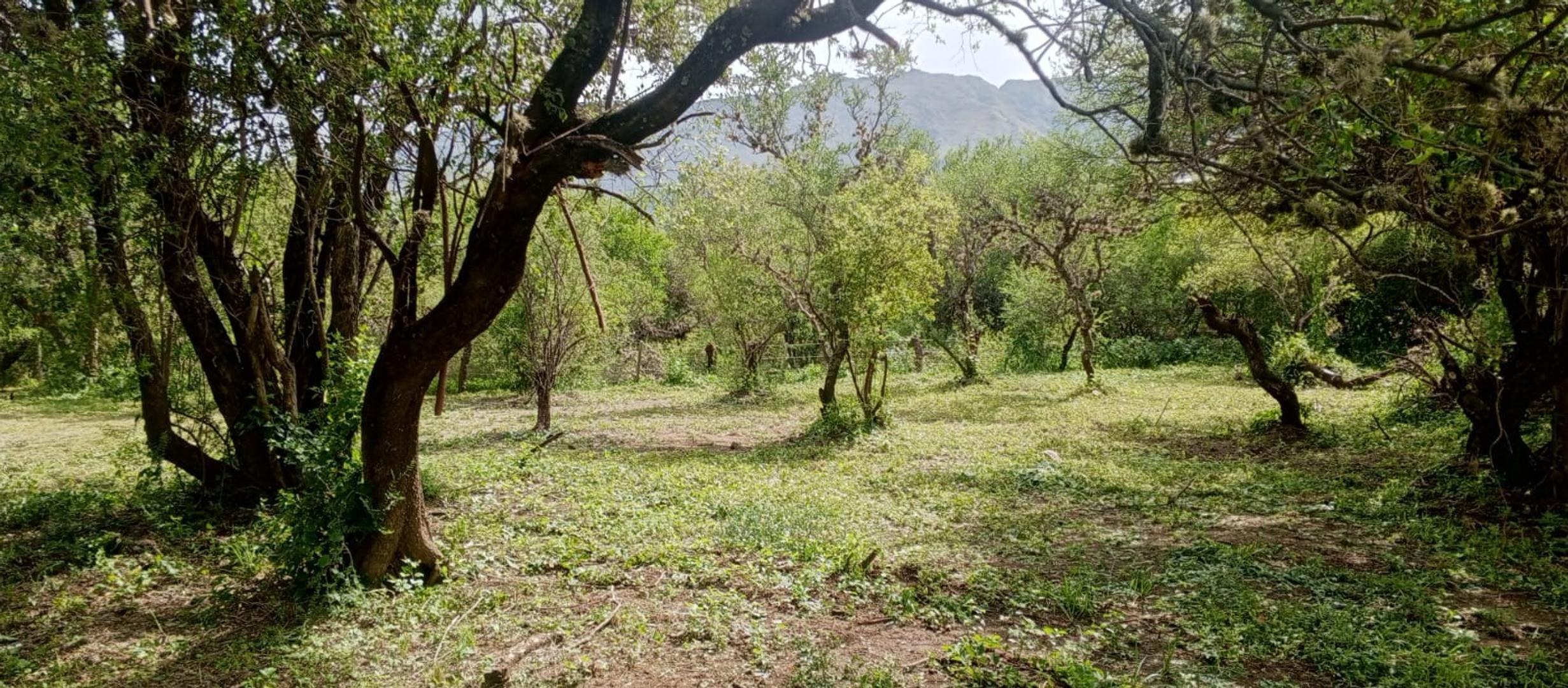 Las Pircas (barrio Balneario) 500