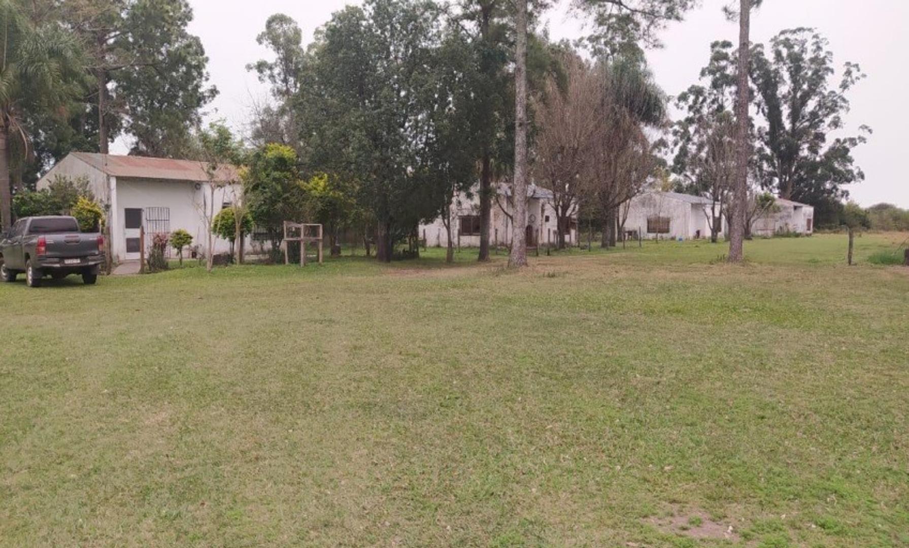 Campo 2250 hect Mixto Arrocero Perugorria Corrientes