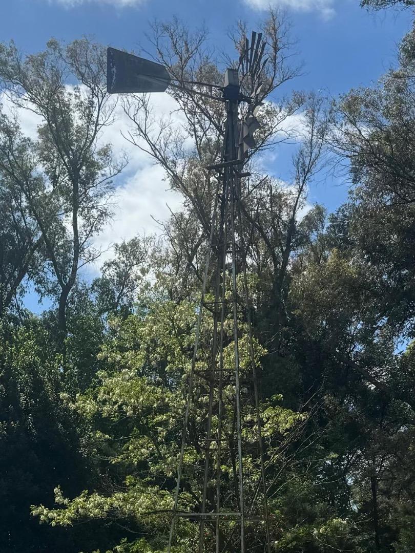 Lote de 800m2, barrio con forestación. Inversión ideal.