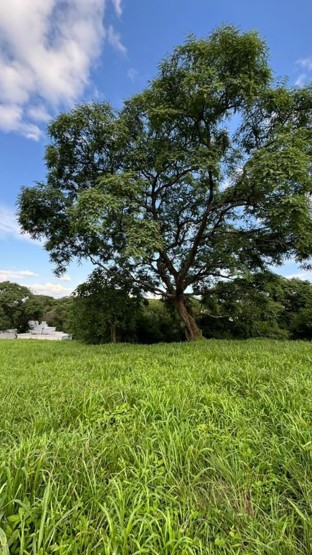 Terreno en Venta en San Lorenzo Chico, USD 120.000