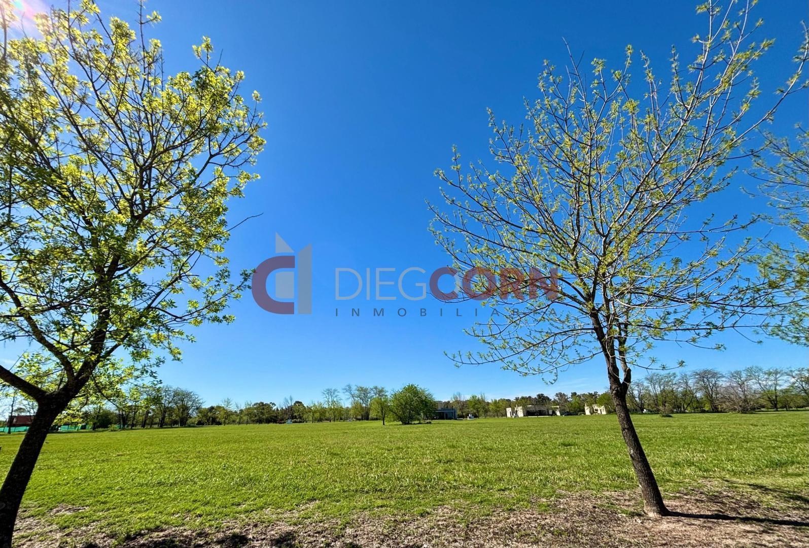 Av. Fernández Beschtedt