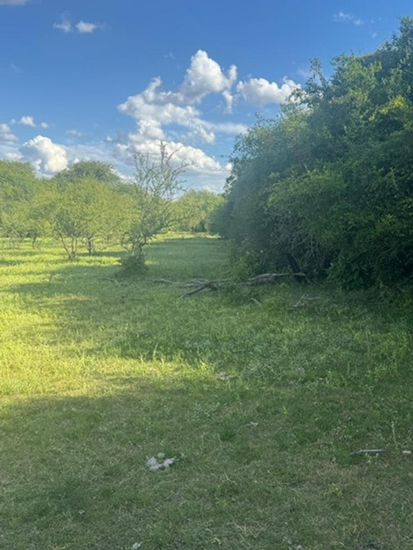 Campo 110 hectareas Mixto Sauce Corrientes