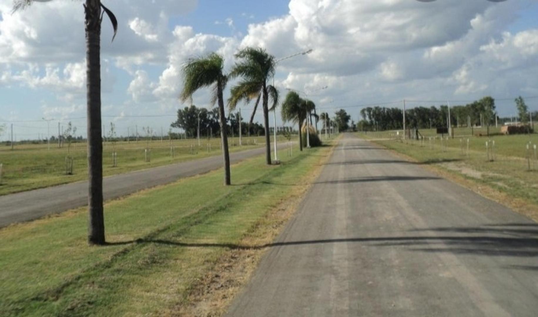 TERRENO en PUNTA CHACRA - ROLDAN
