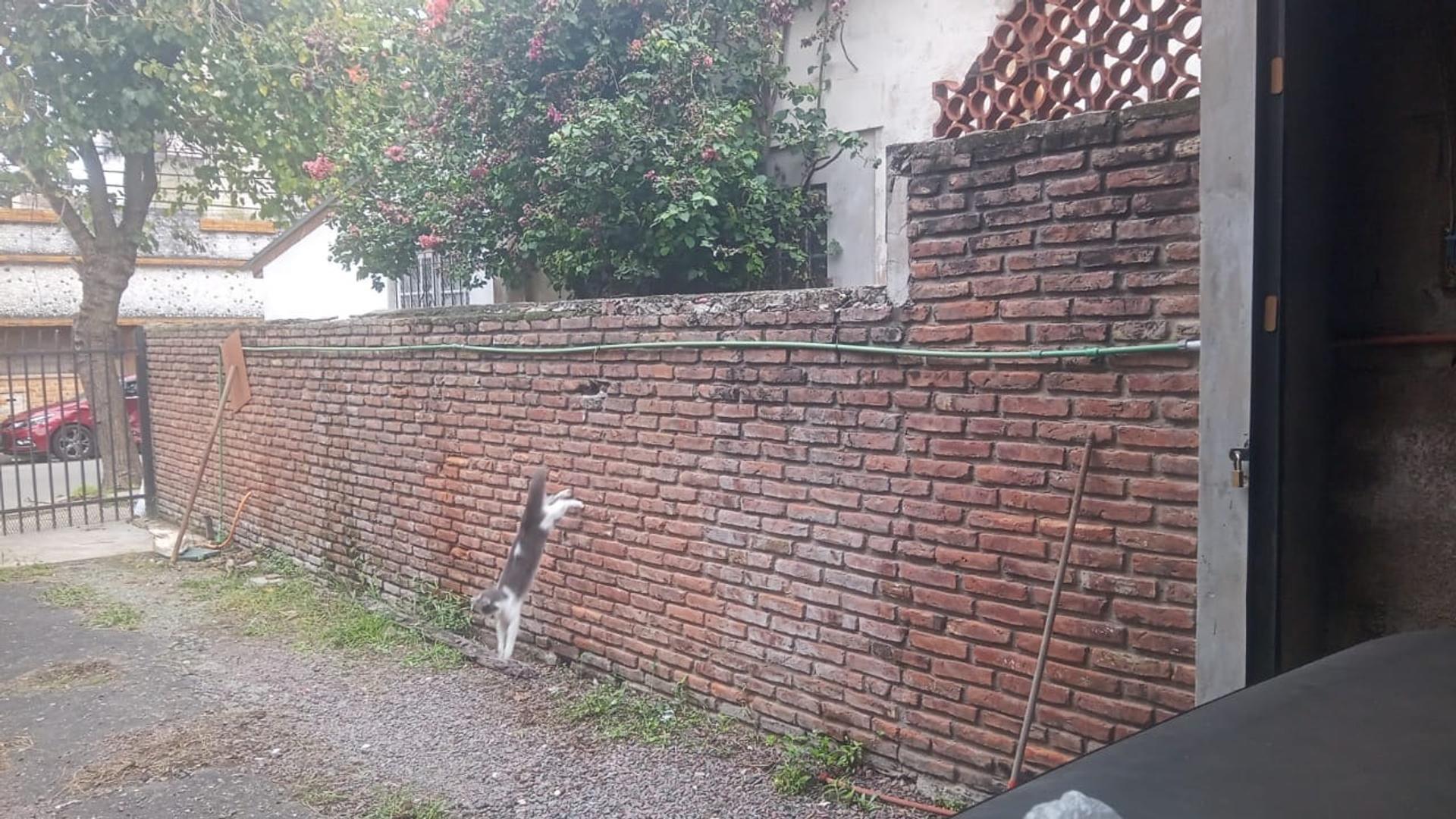 COCHERA EN VENTA