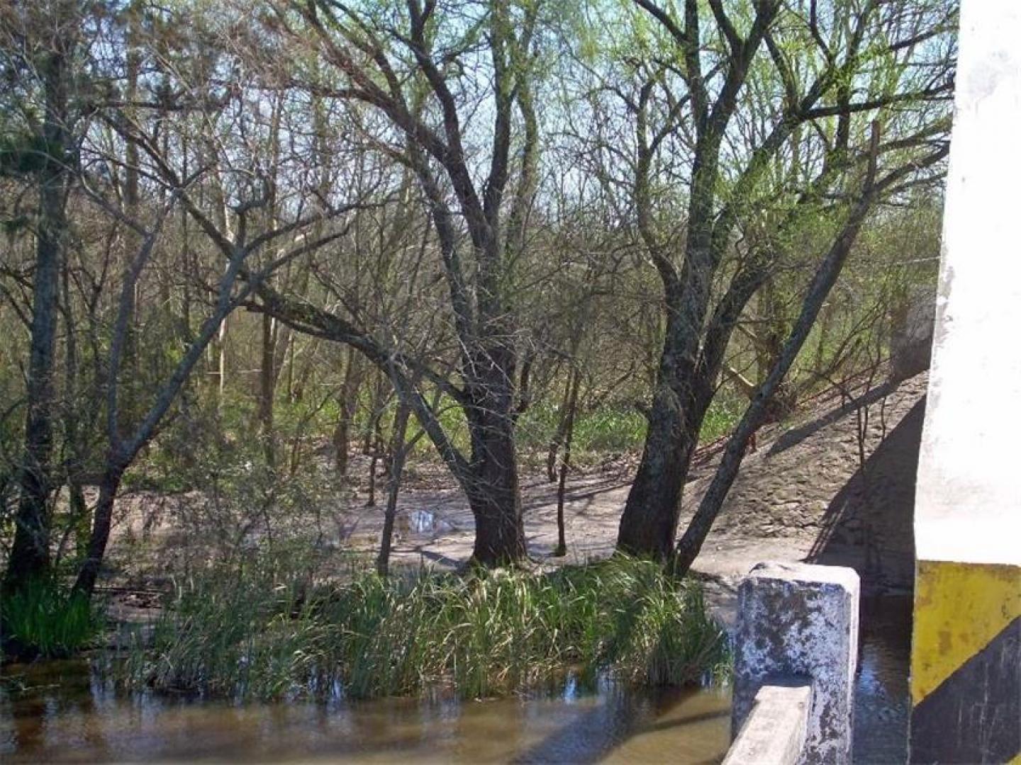 Ruta 25 Y Río Luján