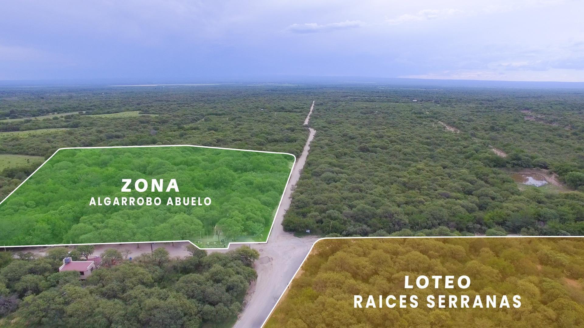 Terreno en Venta en Algarrobo Abuelo, USD 6.000