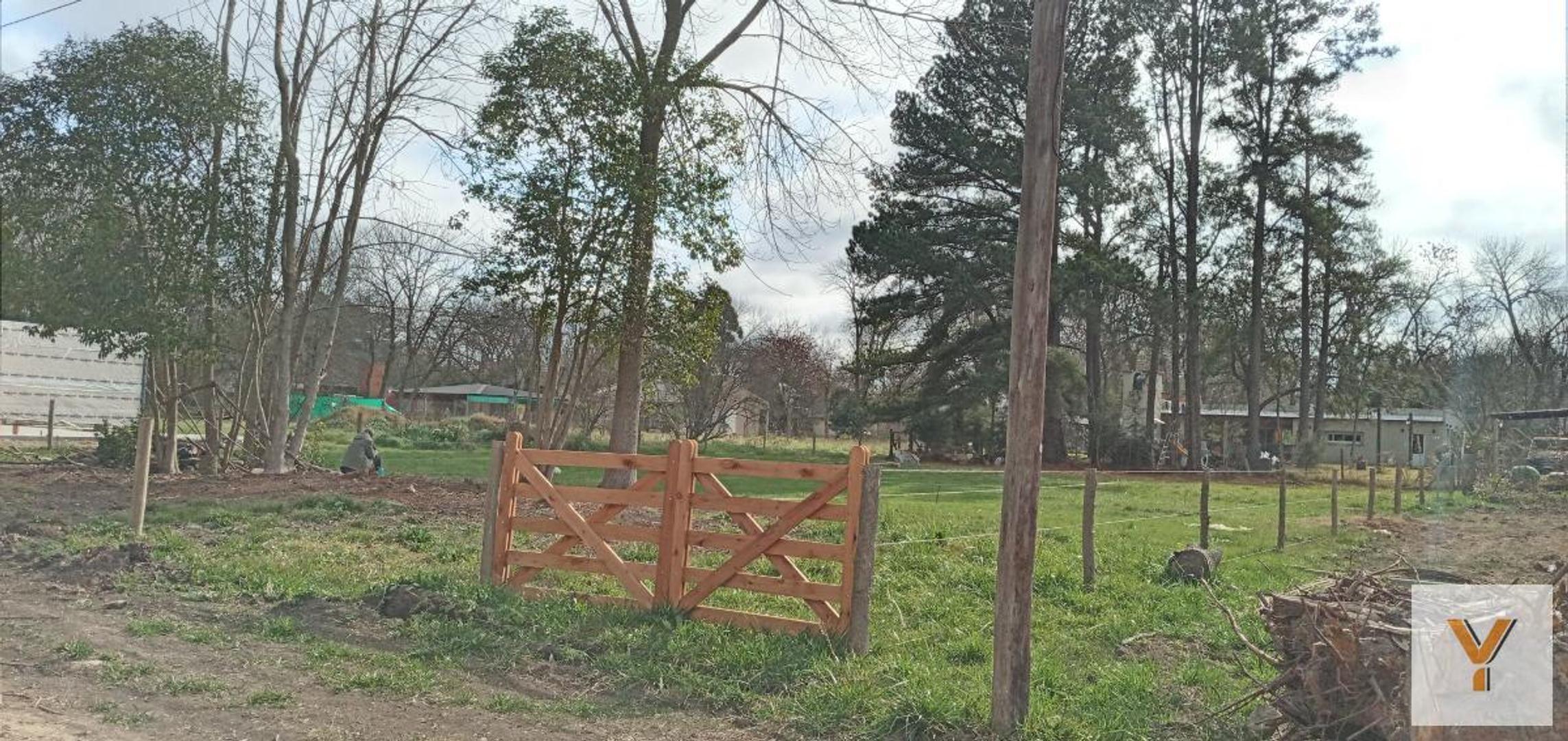 Nueva Zelanda e/ Alemania y Holanda