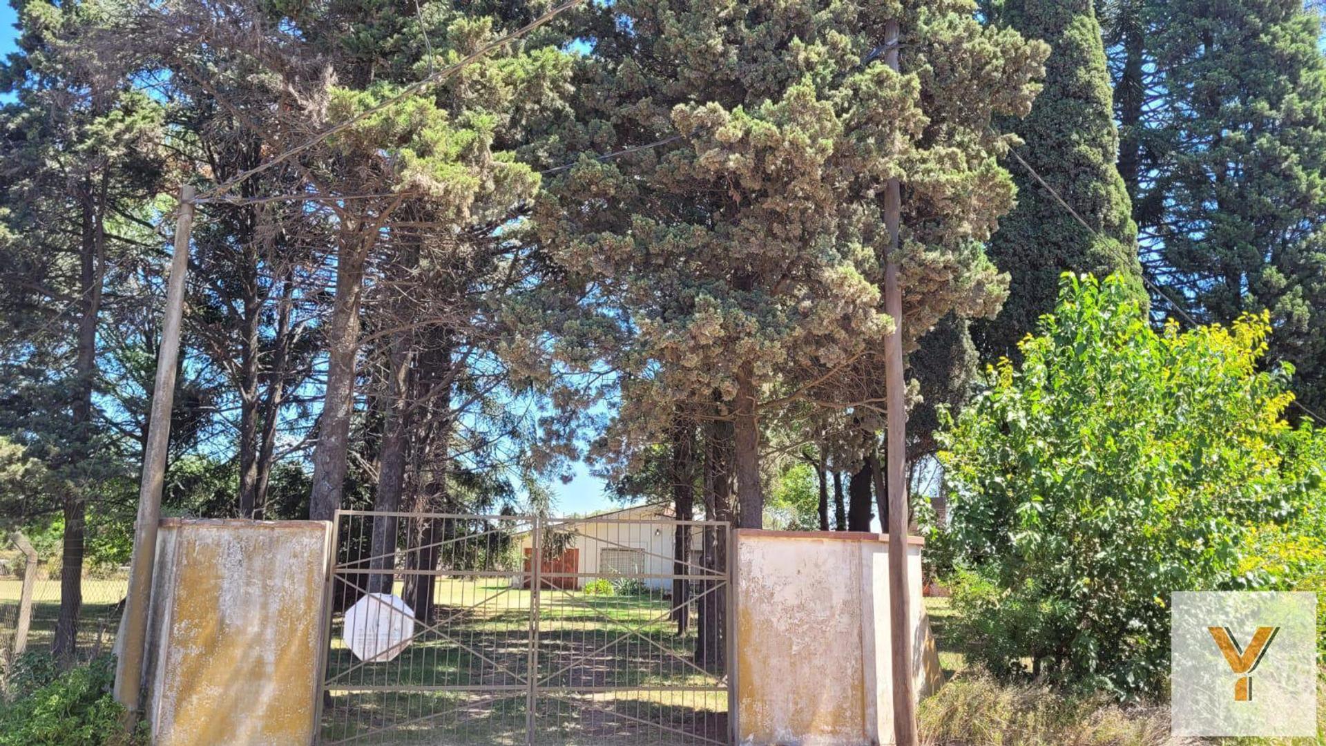 Casa en venta - 1 Dormitorio 1 Baño - 17000Mts2 - Chacabuco