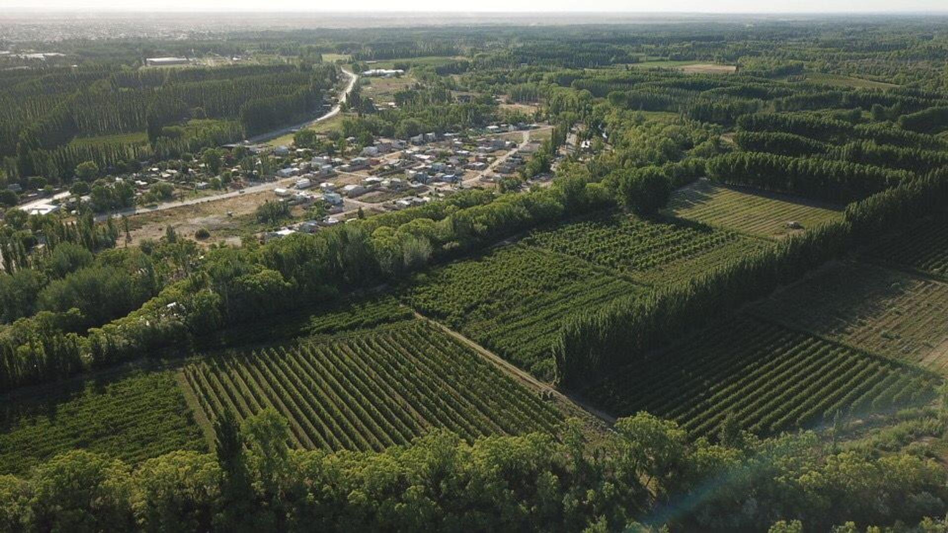 VENTA CHACRA 65 HECTÁREAS, CENTENARIO NEUQUEN