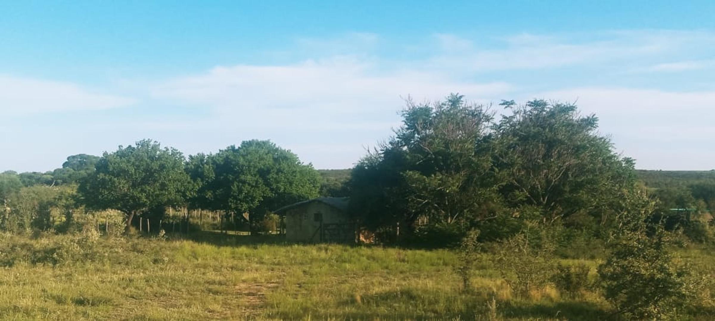 Campo de 9 Has en Concaran - San Luis