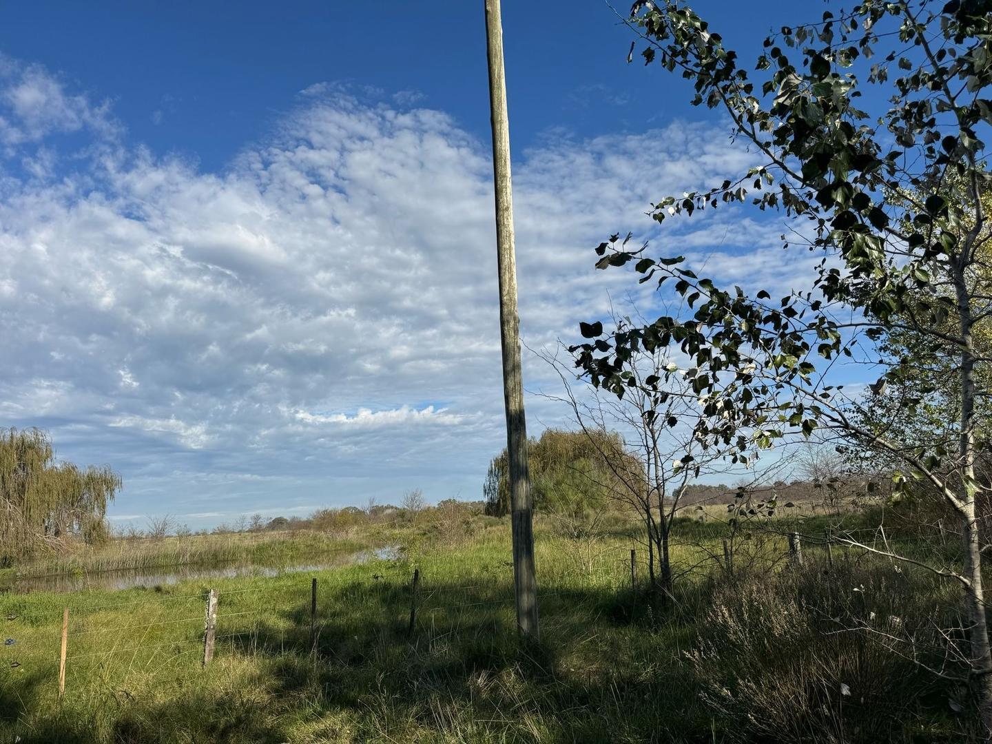HECTAREAS A LA VENTA EN CHACRAS DEL ALBA