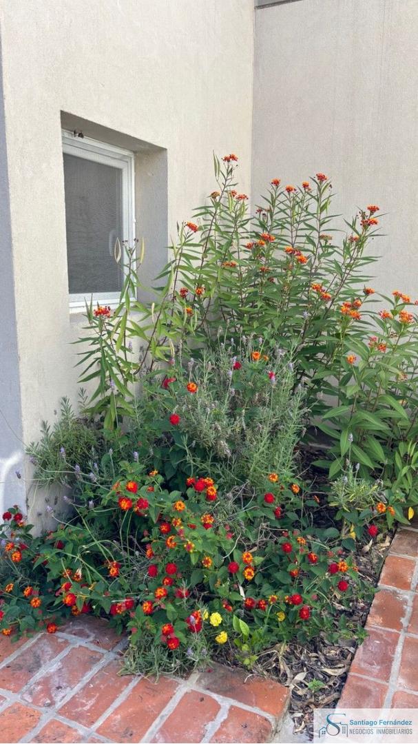 Casa en Alquiler de 1 dormitorio