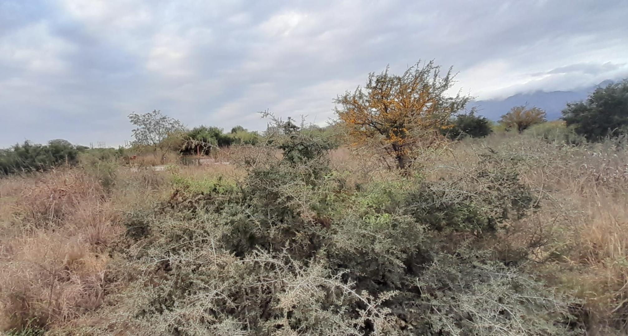 Terreno en Venta en Carpinteria, USD 26.000