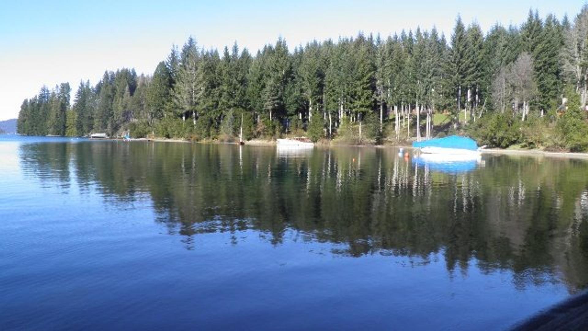 Los Pinos Costa De Lago 300