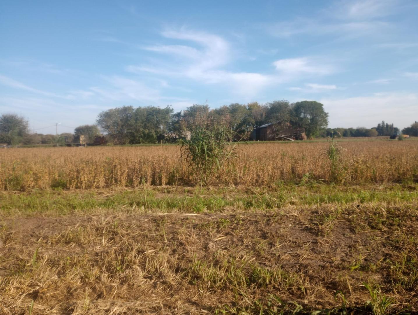 Terreno en Venta de 120000,0 m2