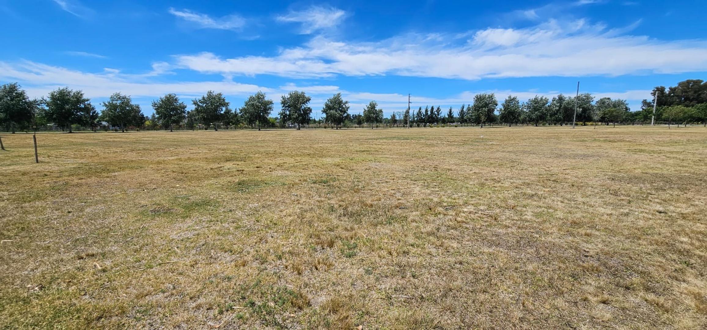 Terreno en Venta en Fincas de San Vicente, USD 39.000