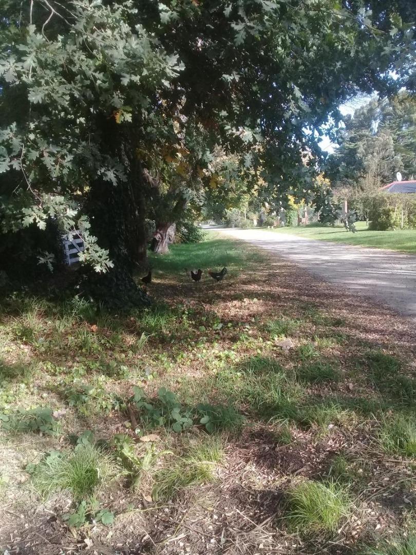 Terreno en Venta en El Sosiego, USD 25.000