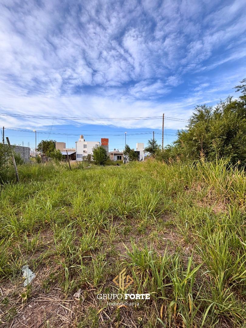 Caídos Por La Patria