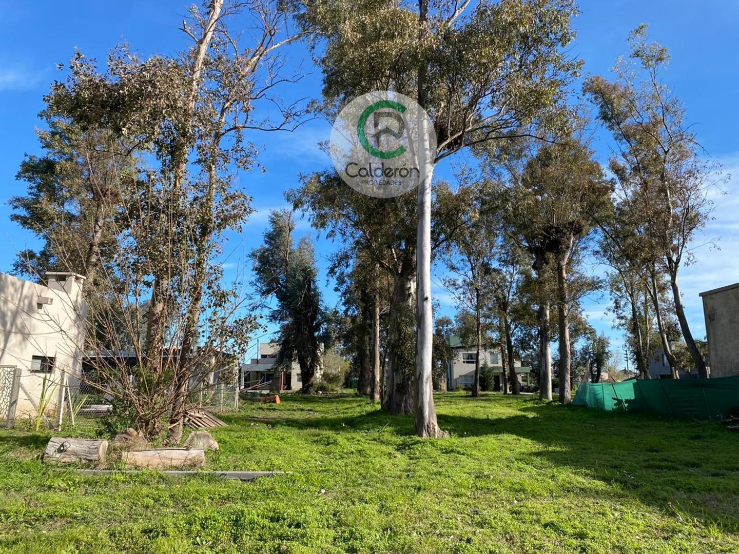 Terreno en Venta Barrio Cerrado Alvarez del  Bosque