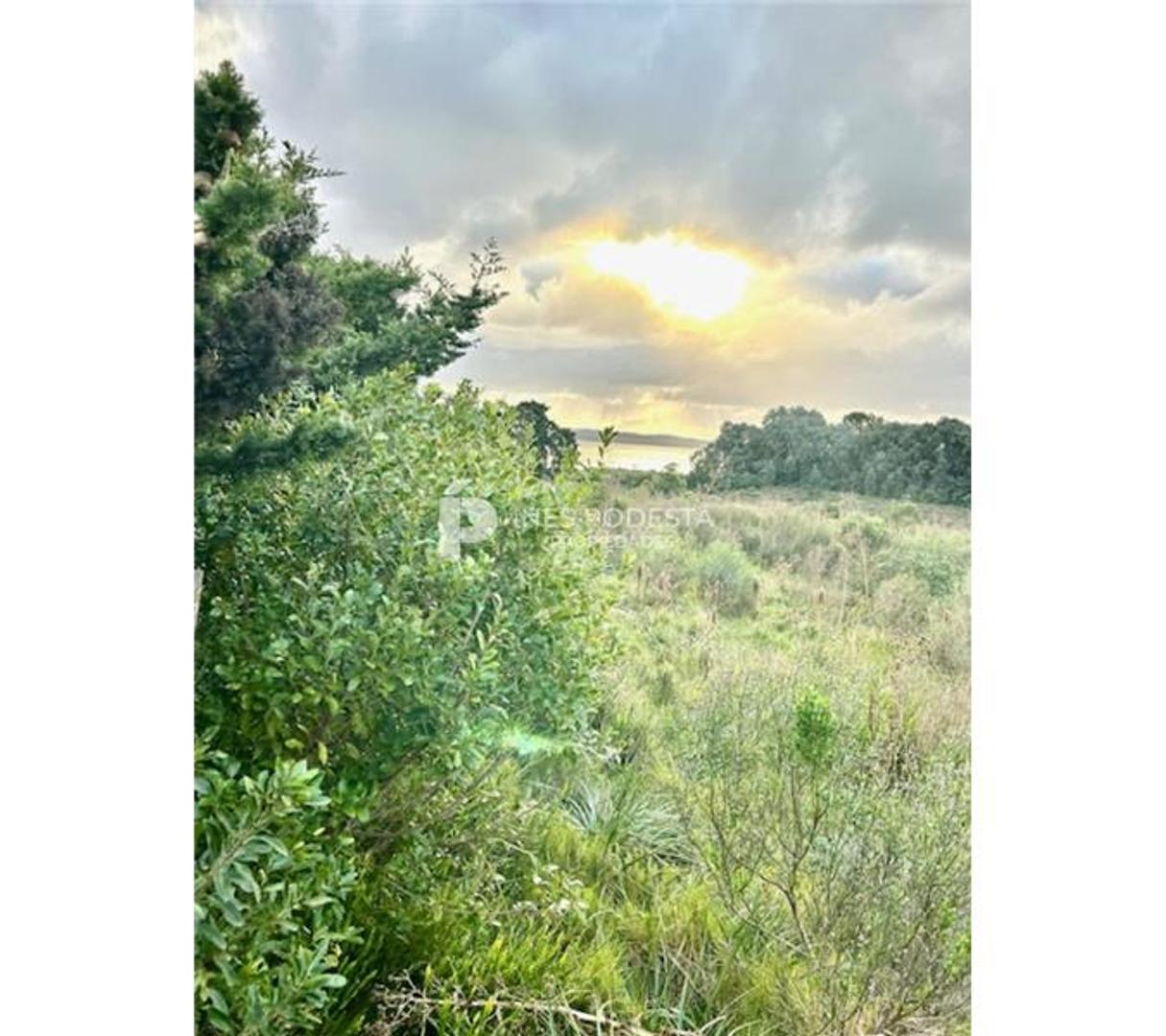 Campo en Venta Chacra