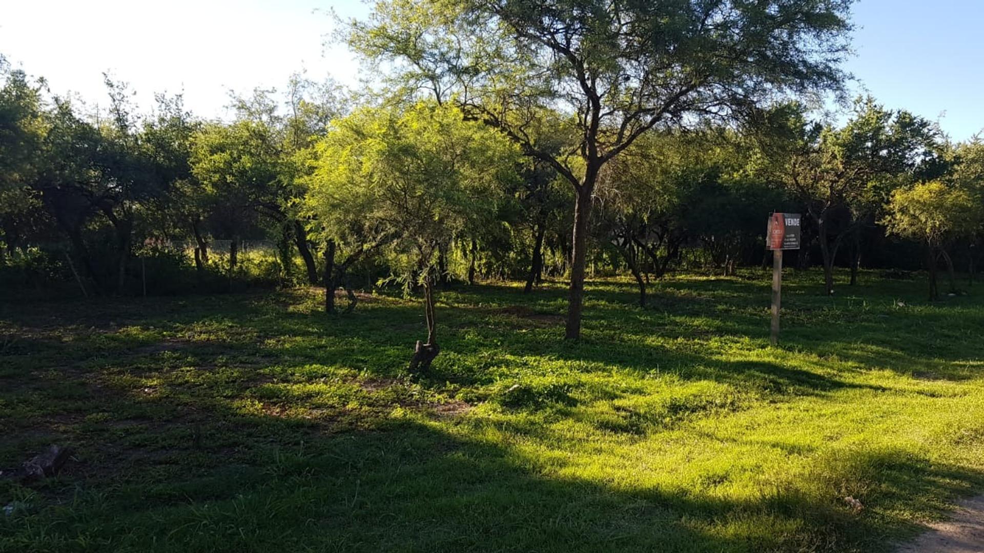 Terreno en Venta en Centro, USD 19.900