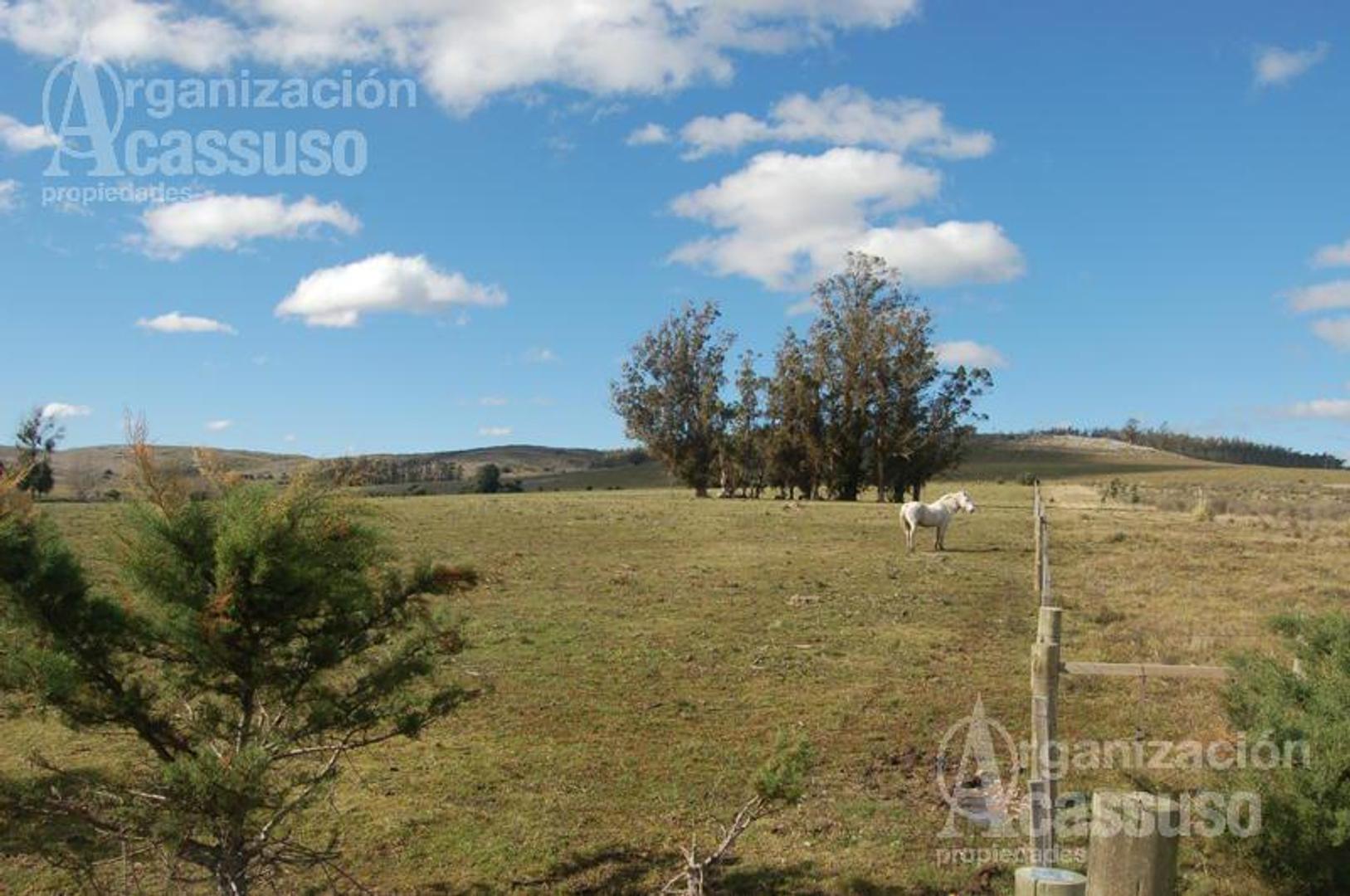 Chacra - Abra de Perdomo