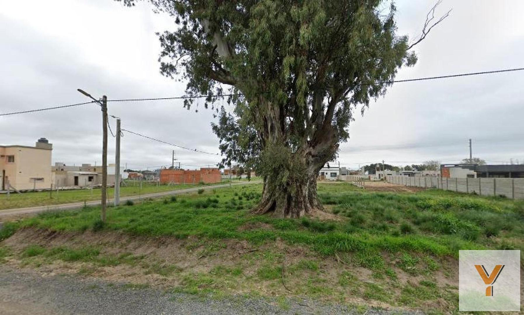 Terreno en Venta en Alejandro Petion, USD 20.500