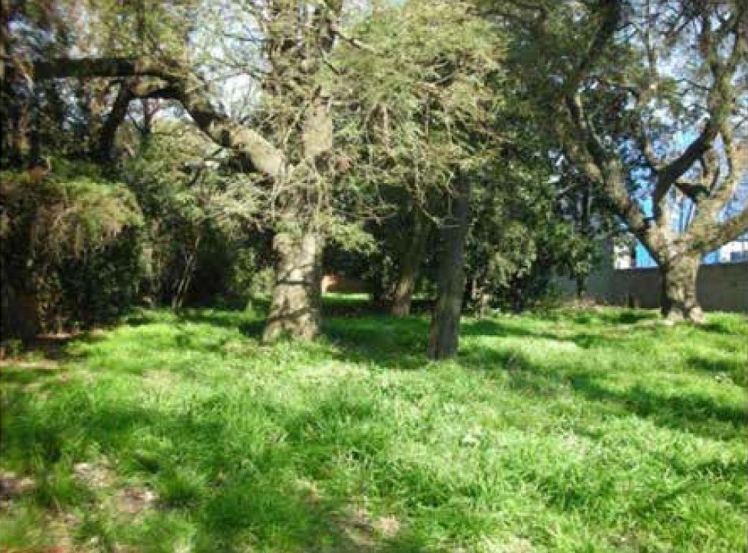 Terreno en Alquiler de 2084,0 m2