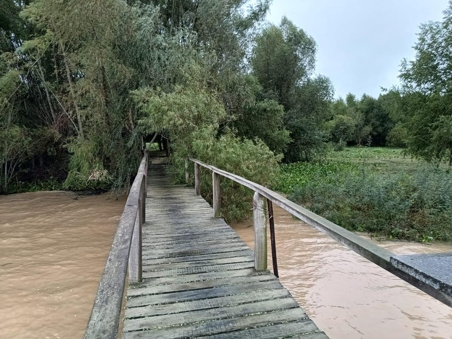 11 hectáreas Para el Puerto Villa Paranacito,Isla del Ibicuy