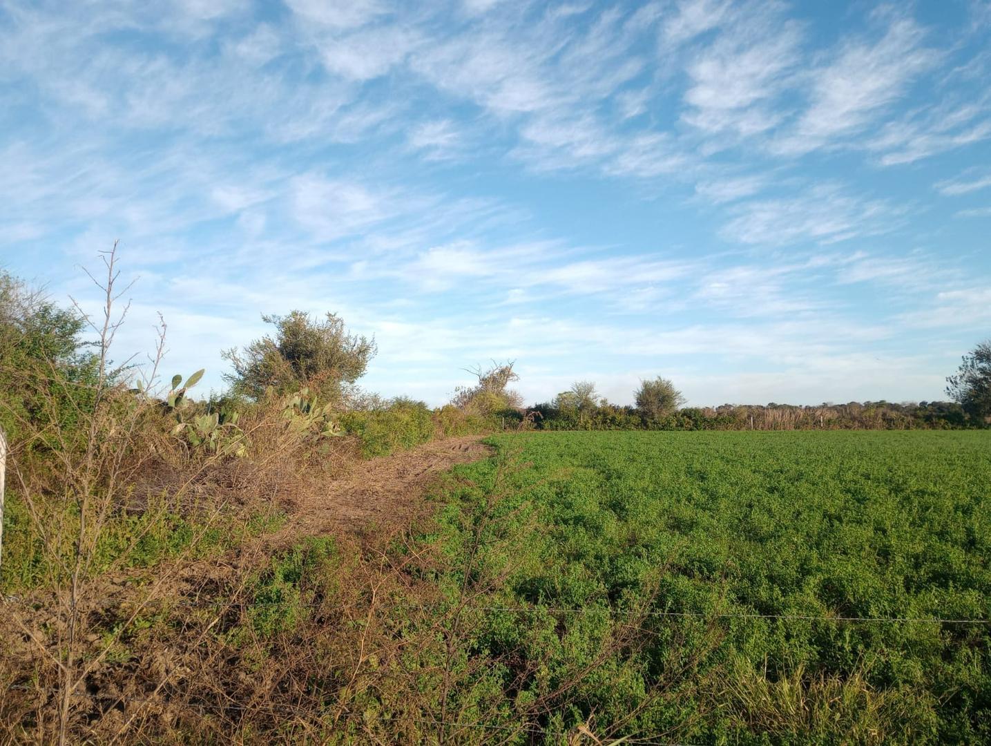 VENTA HECTAREAS CAMINO 60 CUADRAS