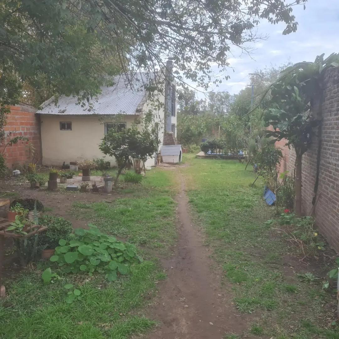 Los Inmigrantes  400