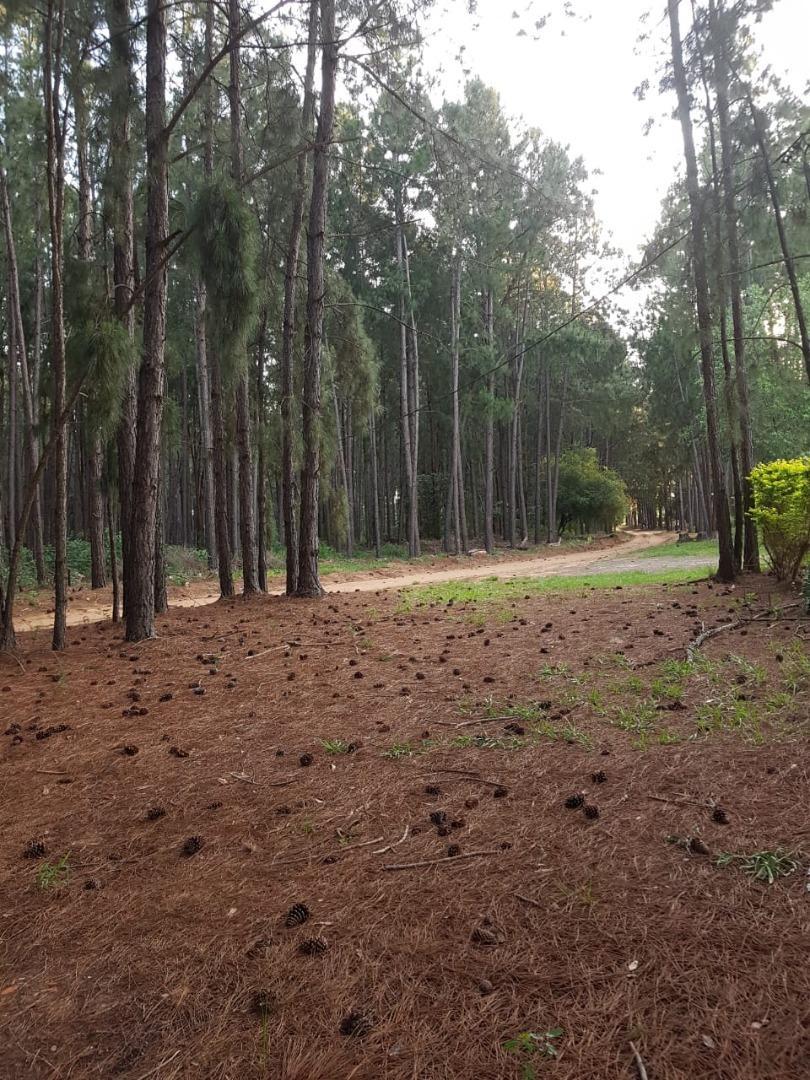 Casa en Alquiler Temporal con 2 cocheras