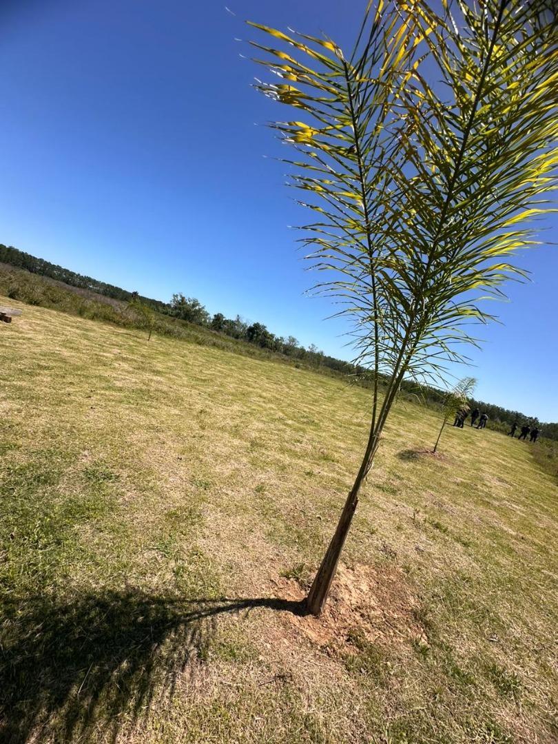 Rio Parana De Las Palmas