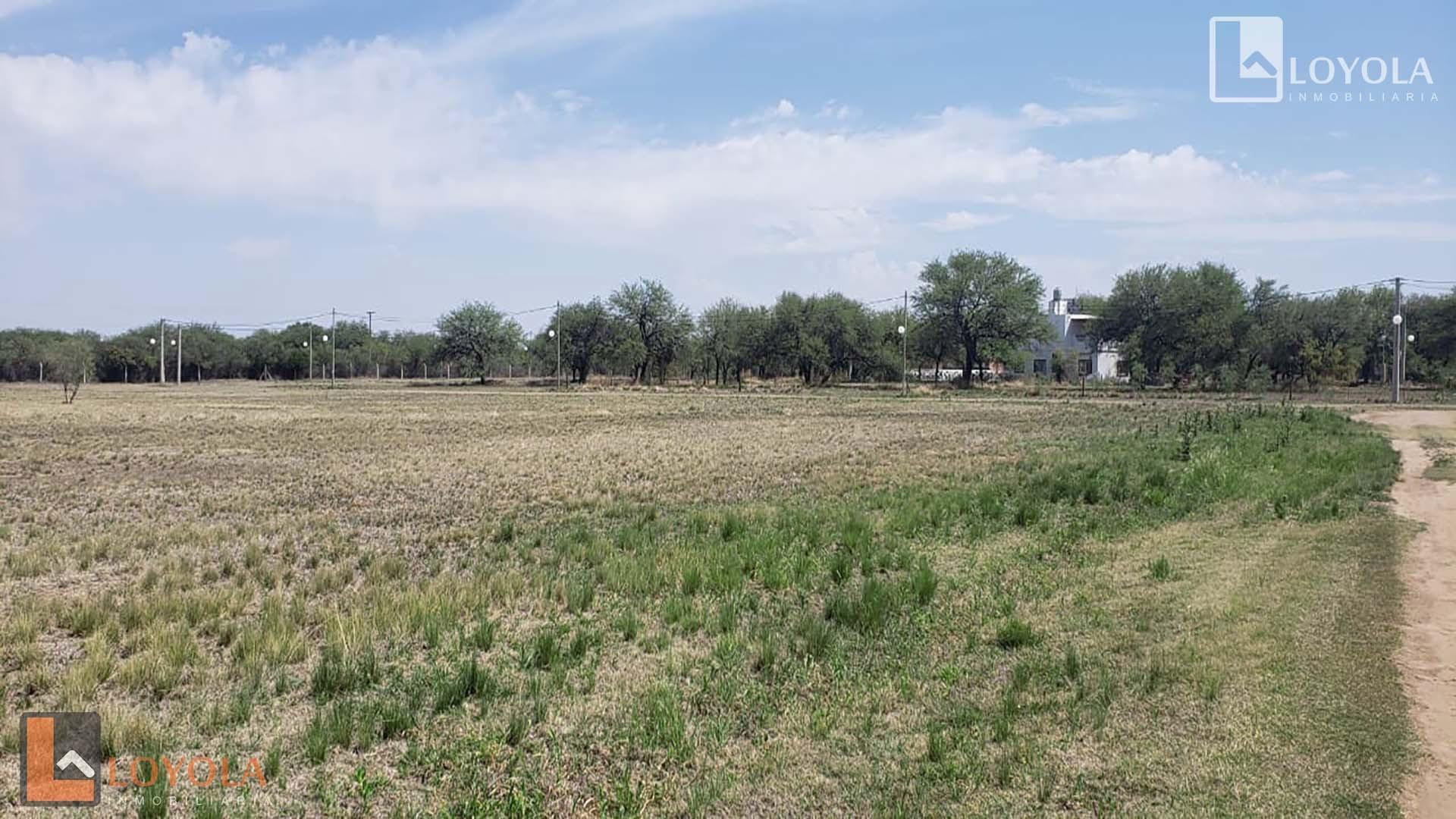 Terreno en Venta de 8400,0 m2