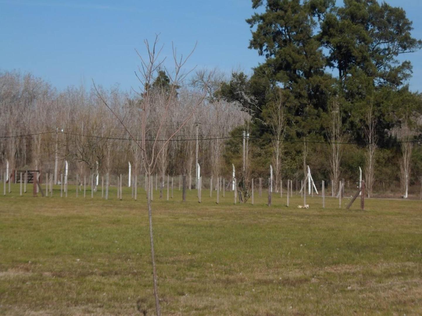 Terreno en Venta en Domselaar, USD 15.000