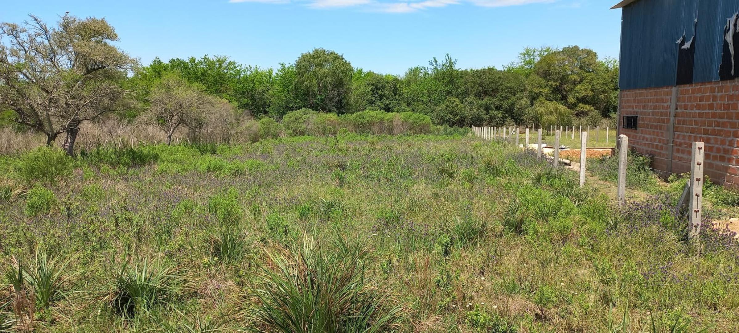 GRAN TERRENO EN VENTA! DE 1440 mts2!