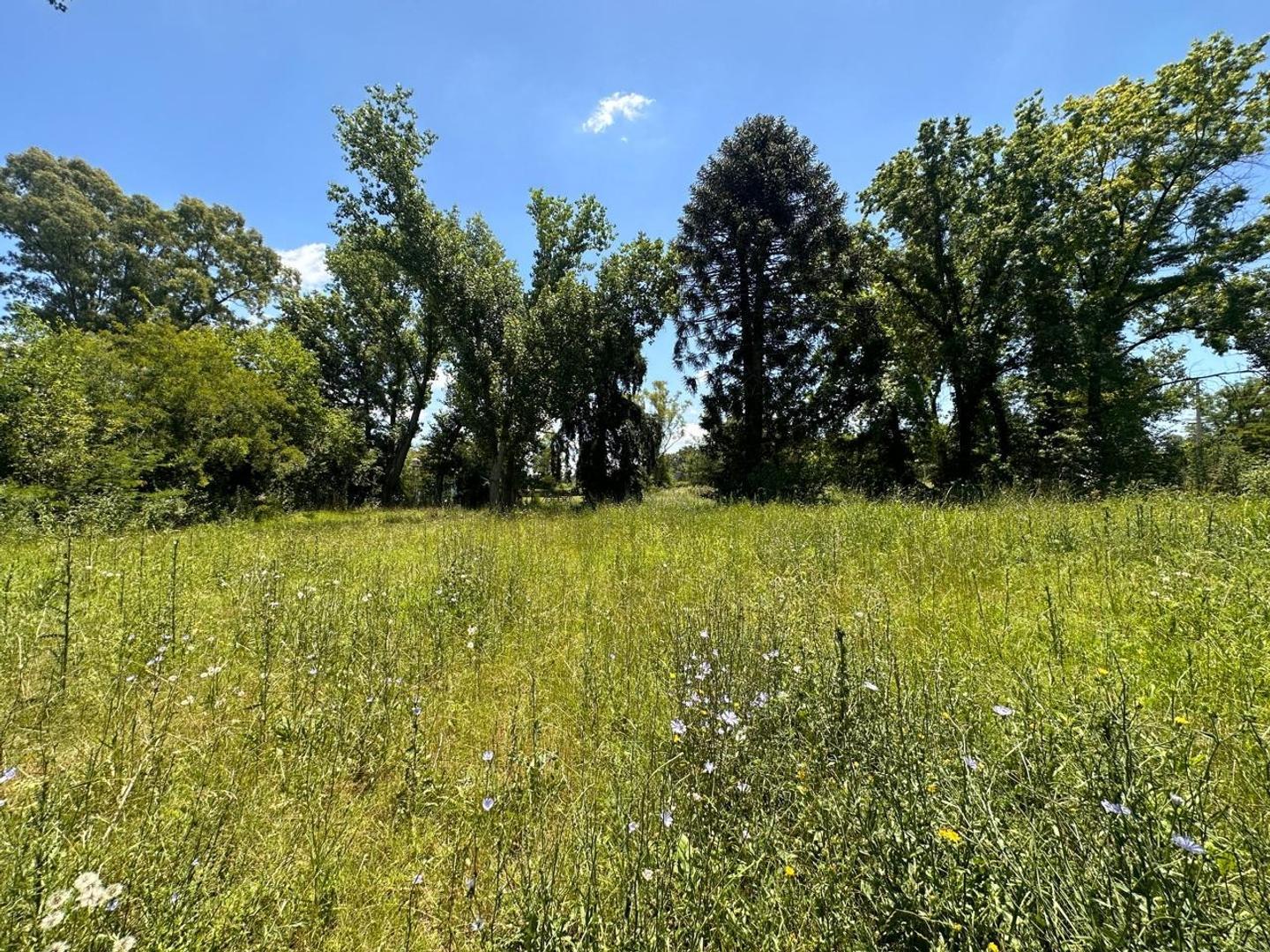 TERRENO EN VENTA LOS PINOS