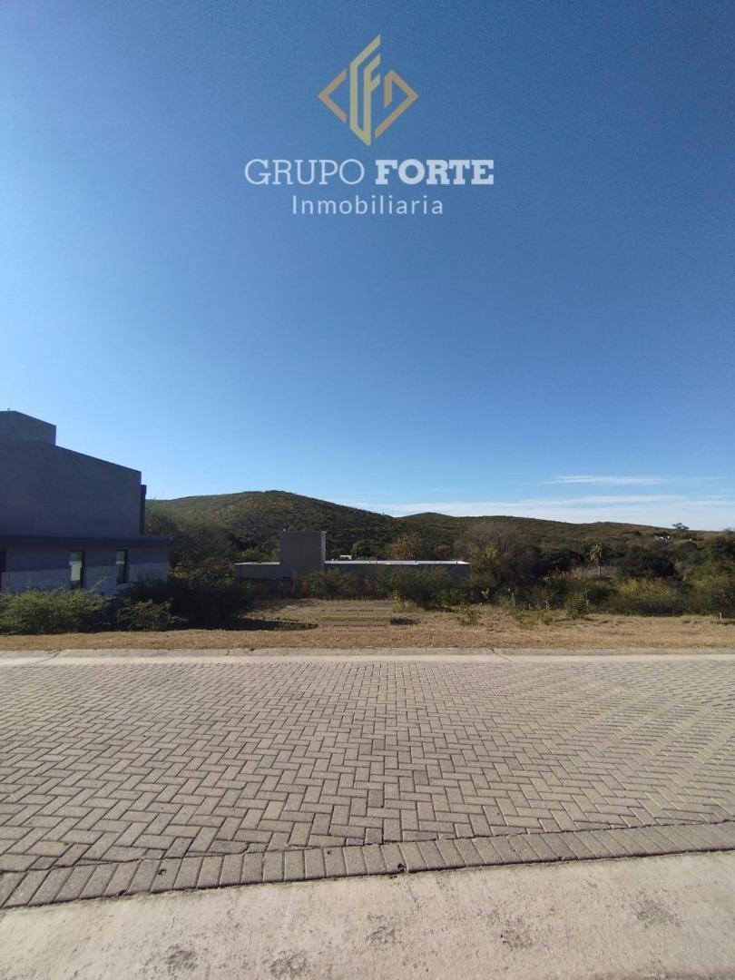 Terreno en Venta en Colinas De La Deseada, USD 54.000