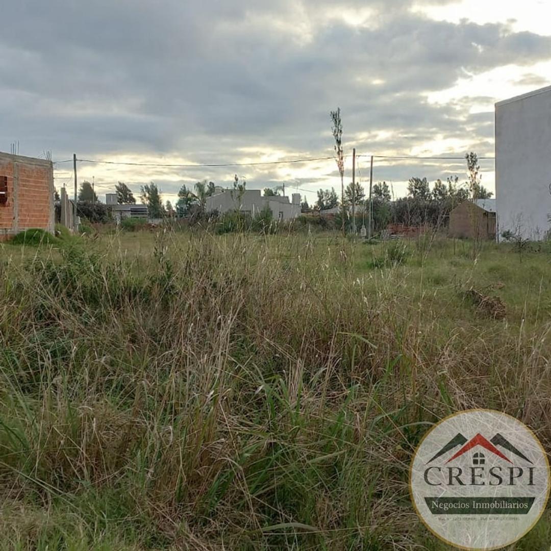 Sobre Colectora Rn14 Km250