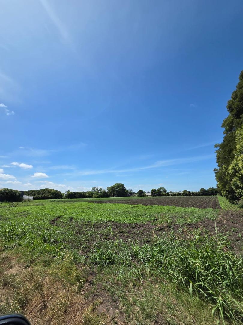 Venta de 4 Hectáreas Zona Tetamanti