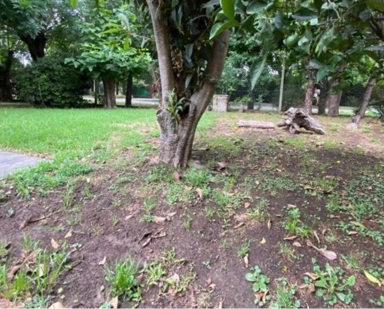 Gran lote en esquina con casa a reciclar