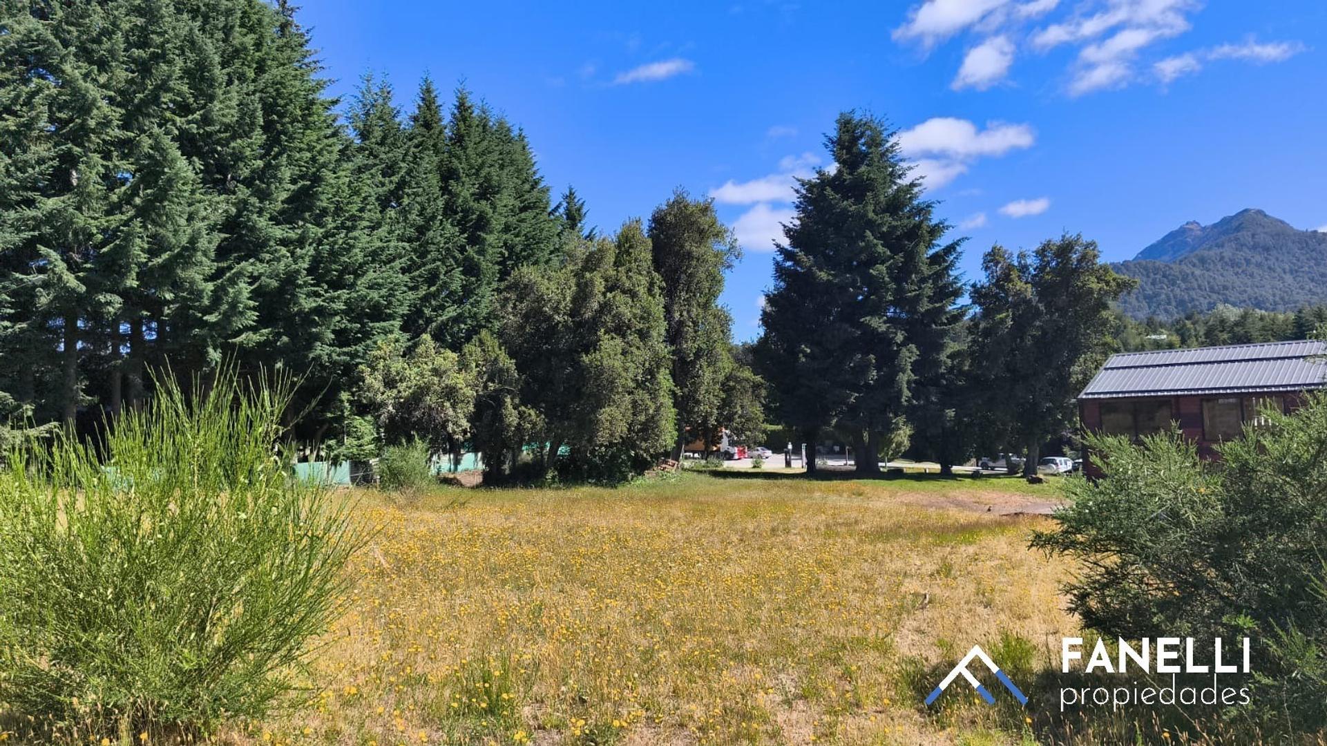 Gran Loteo Zona Céntrica Villa la Angostura (Cód. 211)