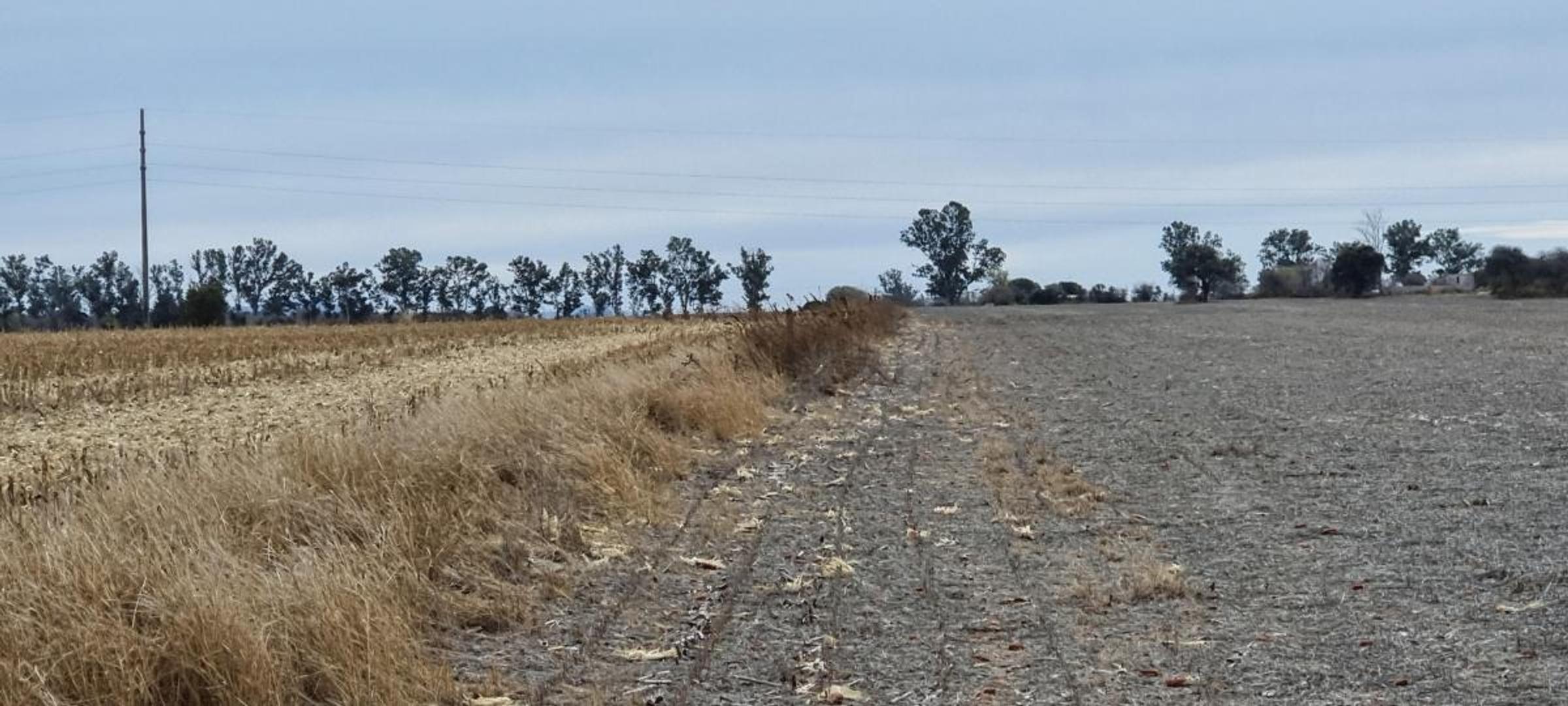 Venta Campo 7 has. Sobre ruta a  Alta Gracia