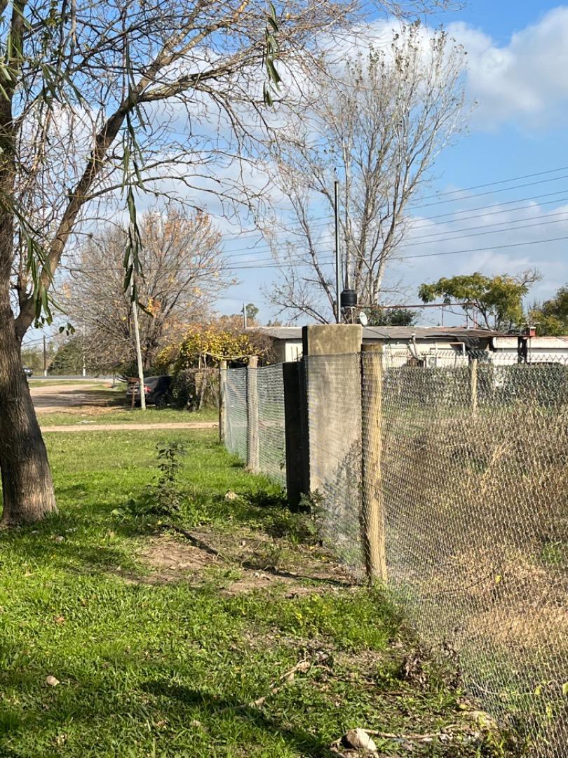 Terreno en Alquiler de 2100,0 m2