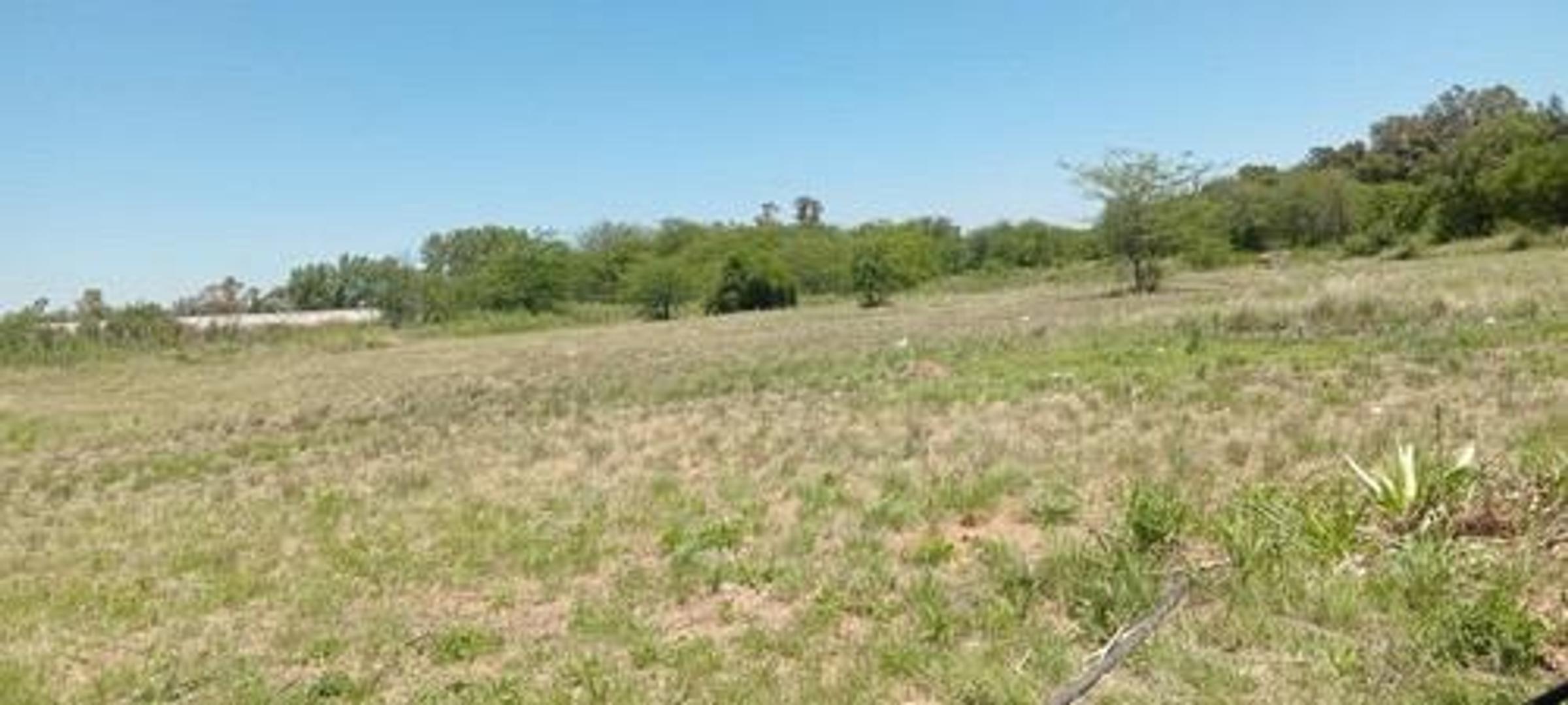 IMPONENTE CAMPO DE SEIS HECTAREAS